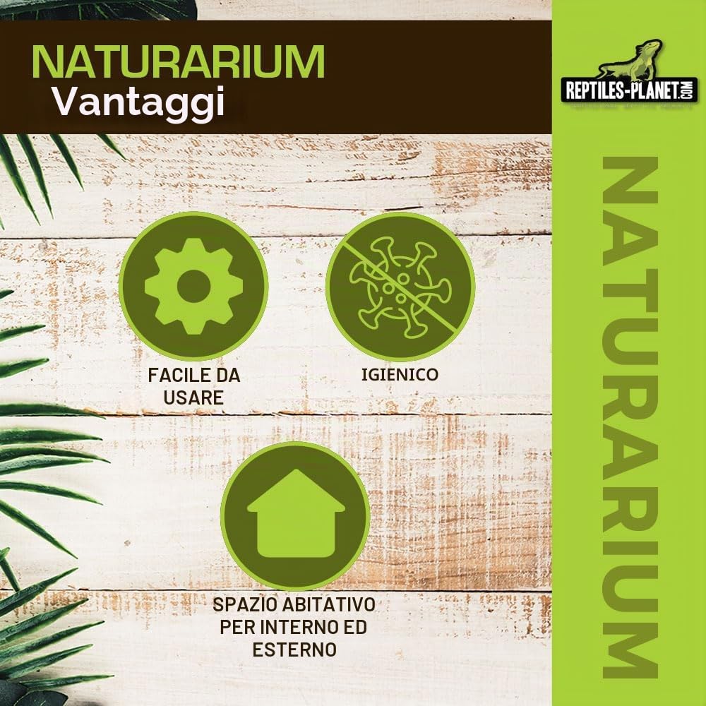 Reptiles Planet Terrarium Naturarium M 75 x 45 x 75 cm