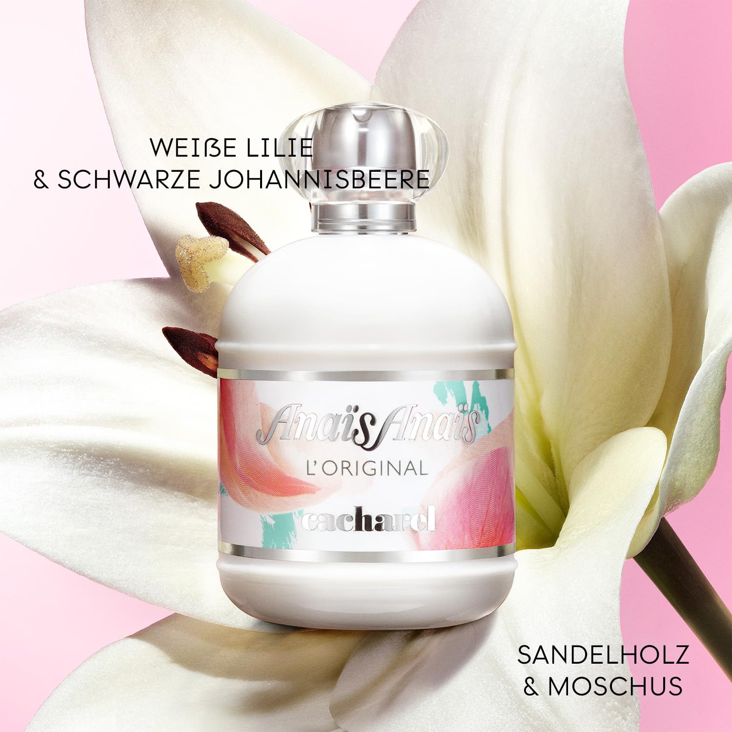 Amazon | キャシャレル アナイス アナイス EDT SP 30ml [並行輸入品