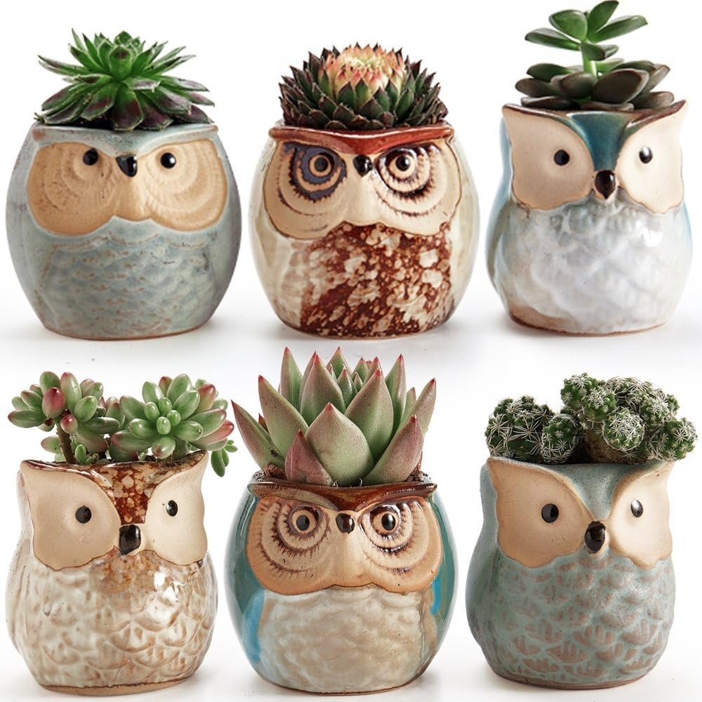 FAYKES COOLive 6 In Set 2.5 Inch Owl Pot Ceramic Flowing Glaze Base Serial Set Succulent Plant Pot Cactus Plant Pot Flower Pot Container Planter Bonsai Pots With A Hole