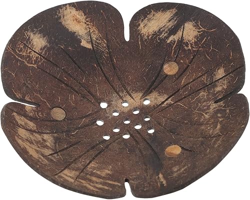 ULTECHNOVO Jabonera de ducha con cáscara de coco, bandeja de esponja, plato decorativo para baratijas, soporte para barras de champú, fregadero de