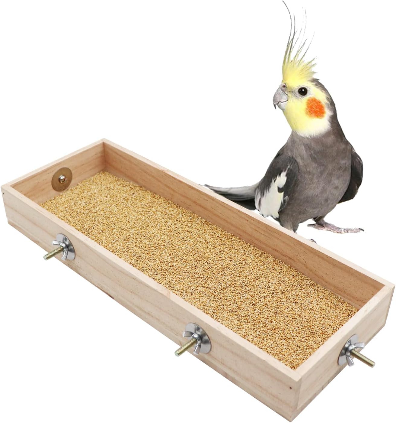 Wooden Parrot Feeding Cups