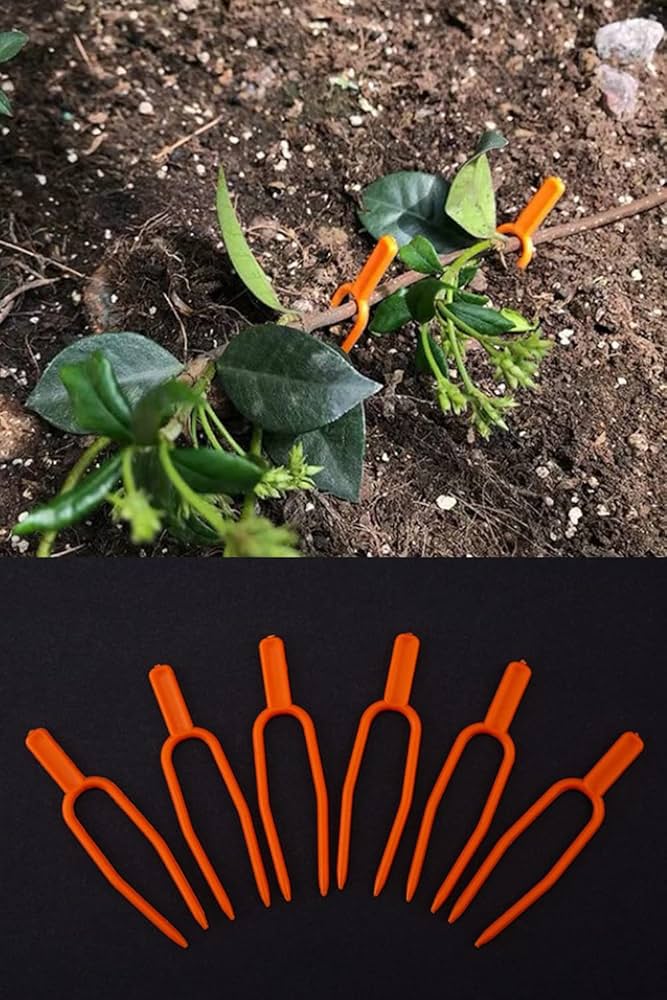 Amazon.co.jp: YFFSFDC 植物サポート 園芸 クリップ 100本セット