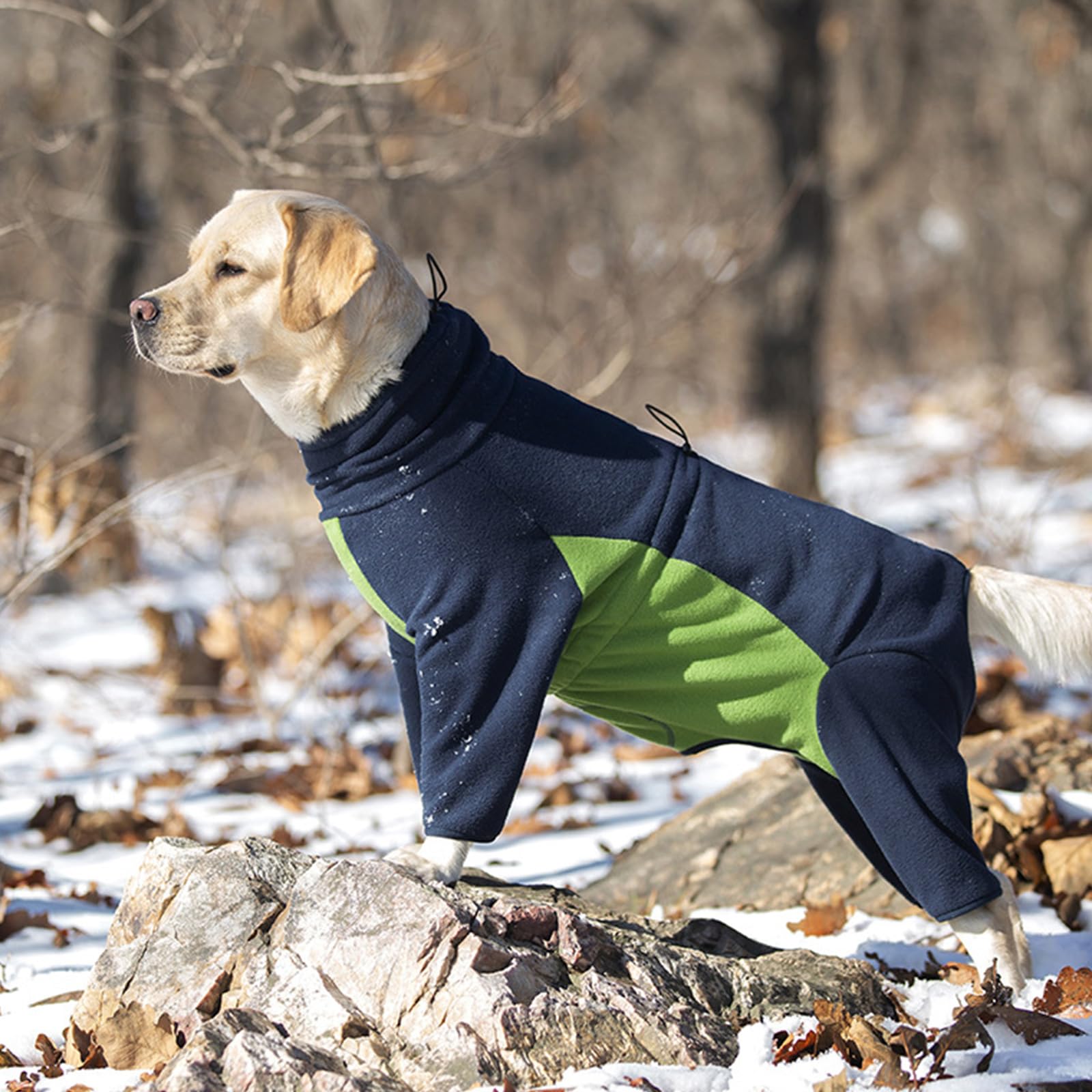 Costume invernale per cani e animali domestici, creativo, foderato in pile, morbido, facile da indossare, varie taglie