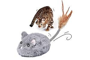 Interactive Cat Toys (Grey): The Perfect Peek-a-Boo Mouse Toy for Your Feline Friend