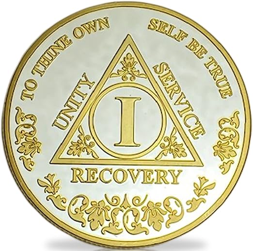 1 Year Sobriety Coin | Alcoholics Anonymous Medallion One Year AA Chip Recovery Token