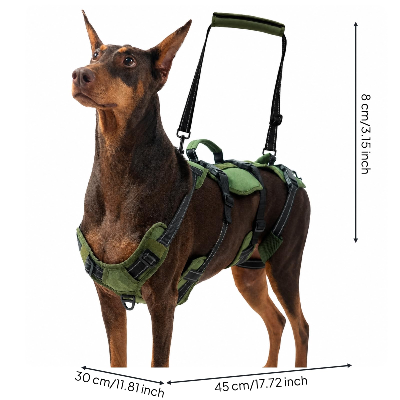 Fascia di Assistenza per Cani Ergonomico | Facile da Indossare, Imbracatura per Cani con Fibbie di Chiusura, Imbracatura Riabilitazione, Passeggiate All'aperto, Verde Militare, M