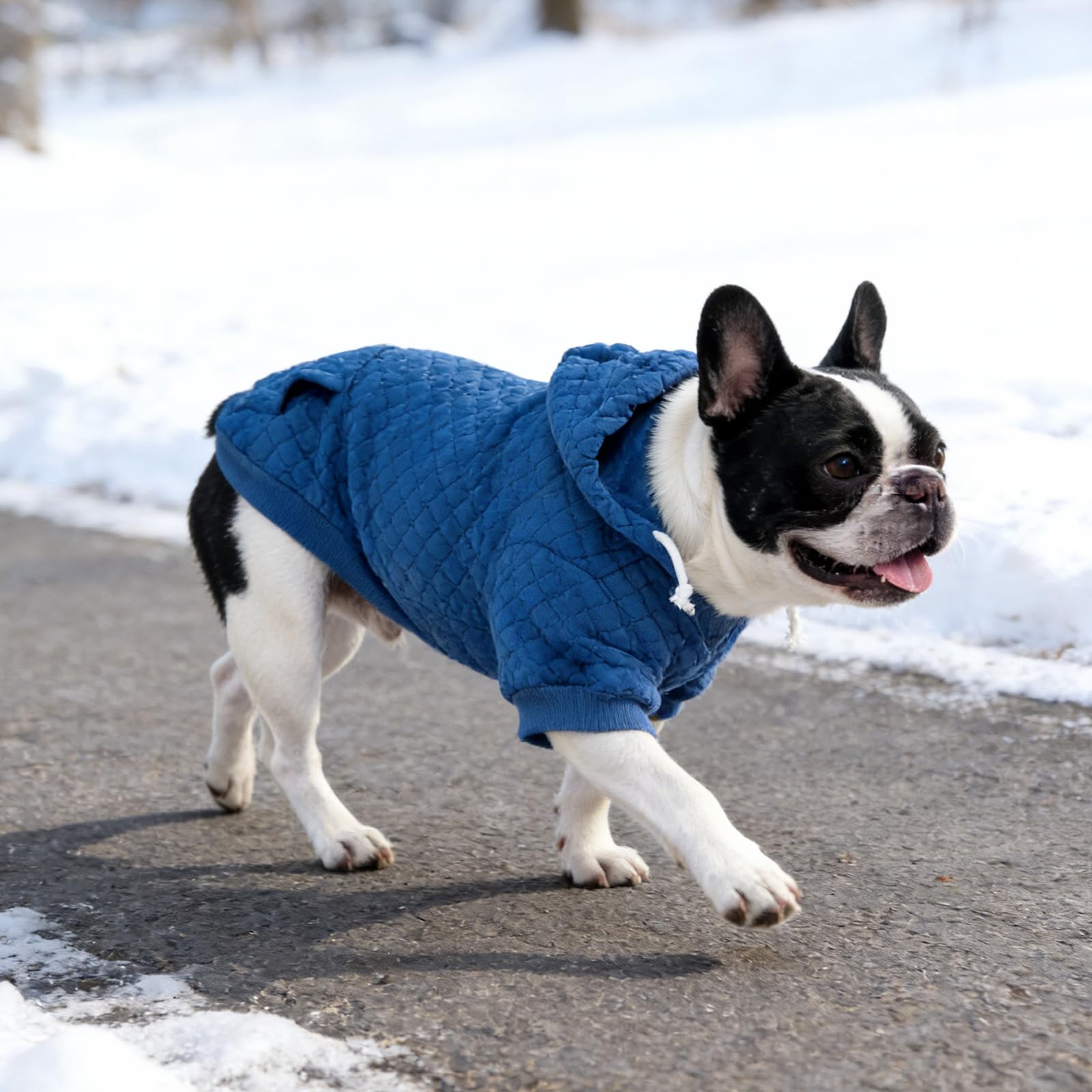 KOOLTAIL Small Dog Sweater, Ultra-Warm & Soft Winter Fall Sphynx Cat Clothes for Cats Only, Lightweight Dog Hoodie Sweatshirt for Small Dogs Boy Girl