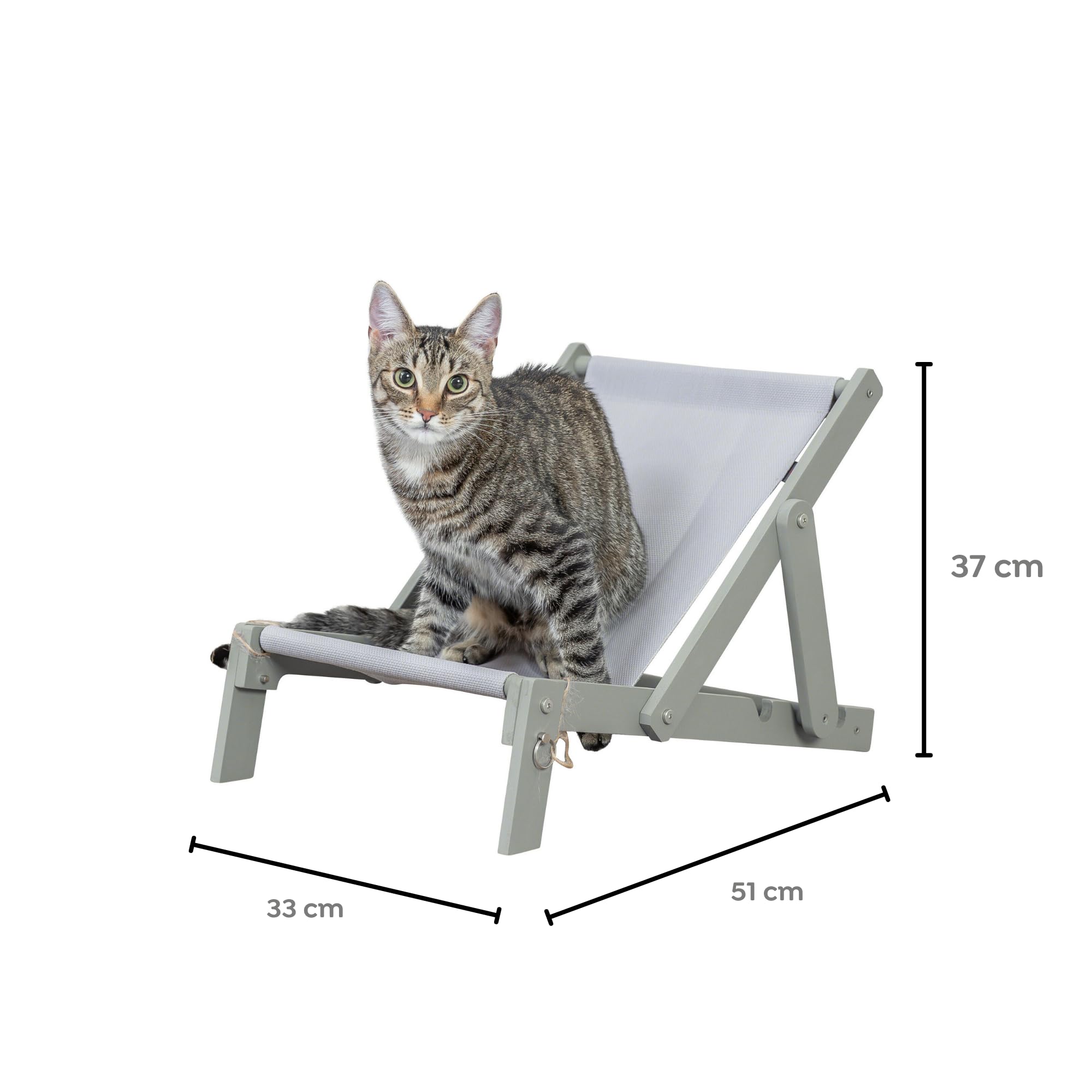 Trixie Strandstuhl – Liegeplatz für Hunde & Katzen – Verstellbar & klappbar – Strong Edition – grau – 33 × 37 × 51 cm