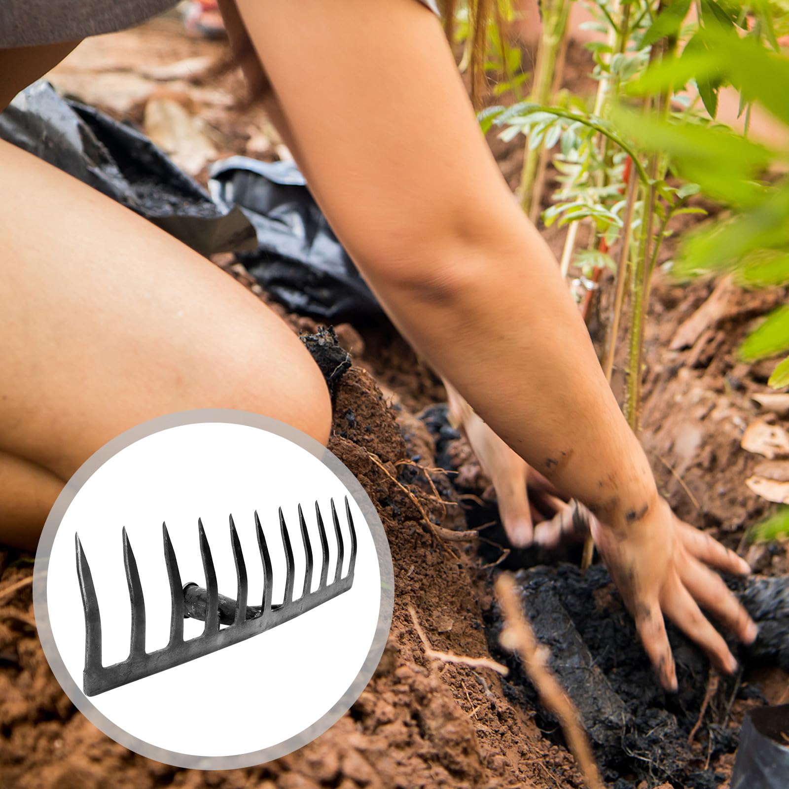 Rastrello in Ferro a 11 Denti per Orto, Robusto e Nero
