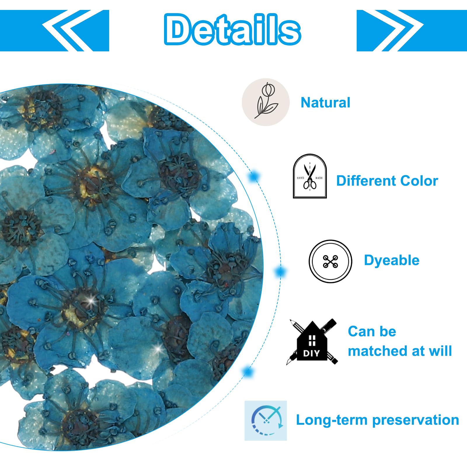 PATIKIL Dried Pressed Flower, 60 Pcs for Resin DIY Crafts Nail Art Cards Scrapbooking Jewelry Making Floral Decor, Blue - Image 3