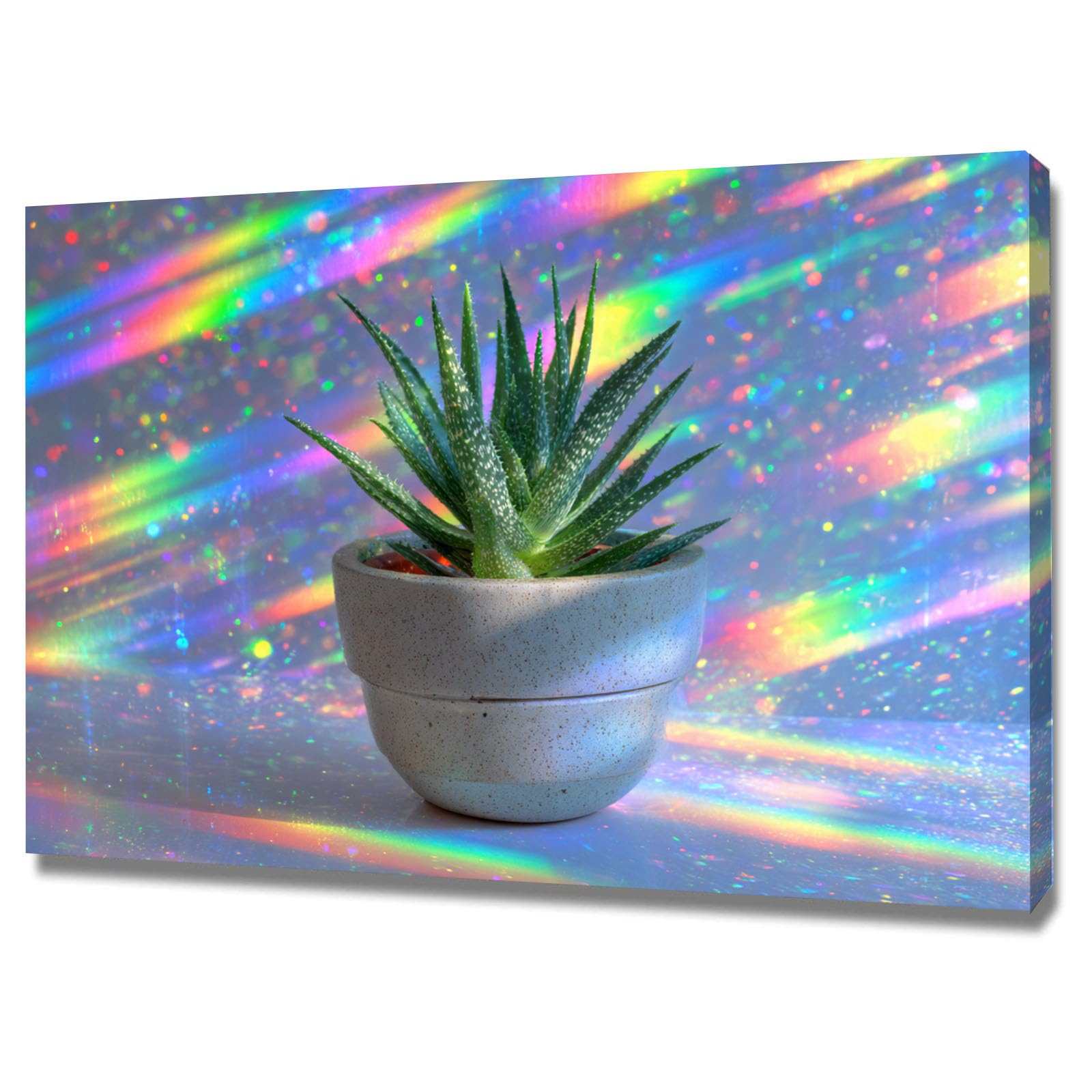 ZAMAEIU pósteres abstractos de hoja botánica impresa Aloe deslumbrante Arte Decorativo de la Oficina Sala de Estar（Verde-50x70cm Enmarcado