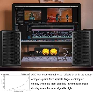 NGARY Dual Analog VU Meter Amplifier, RGB Sound Level Indicator Audio Switcher Box with DB Panel Display, Brightness/Color/Gain Adjustable for Tube Amps, Home Audio Component