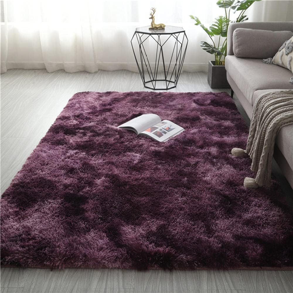 Super Soft Area Rug 4cm Plush Large Modern Luxury Fluffy Velvet Plush Rug for Living Room Carpet Home Decor Purple 300x200cm