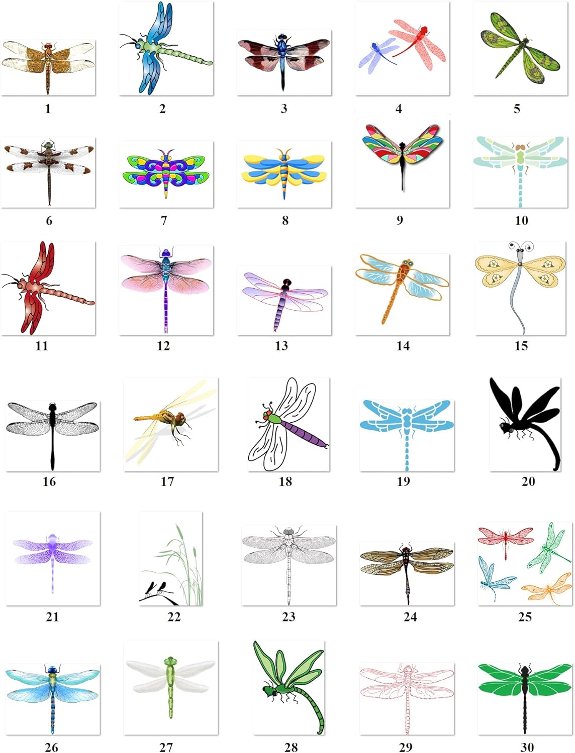 Generic 320 Personalized Return Address Labels Dragonfly