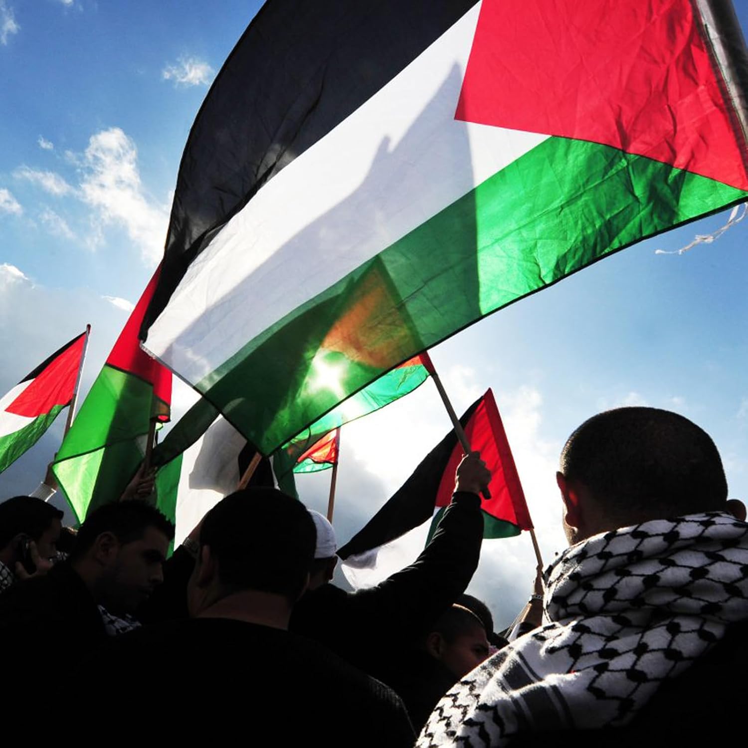 Palestine Palestinian Flag 3x5 Outdoor Double Sided Made In USA- Flags Heavy Duty 3 Ply Flags Banner for Outside Outdoor Indoor