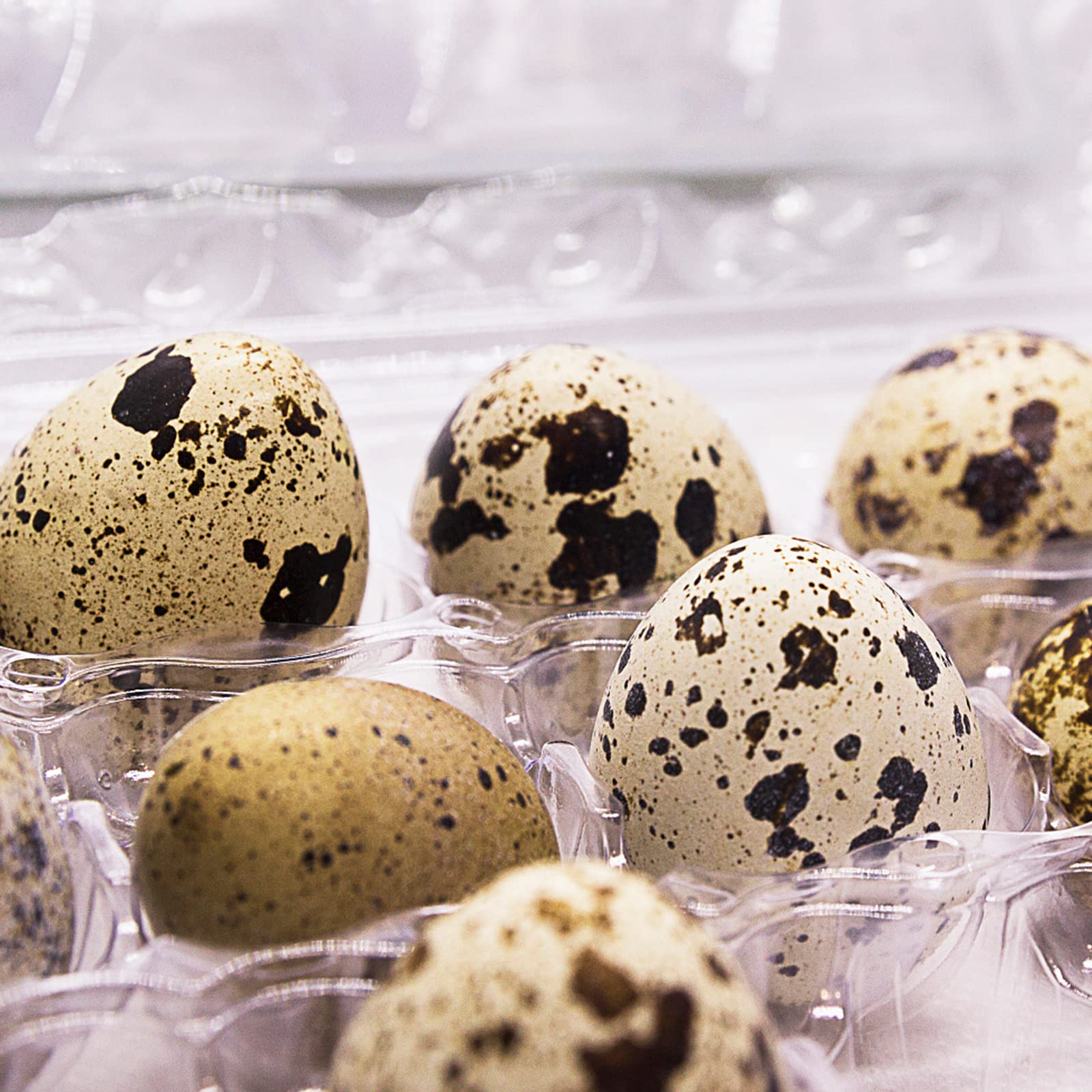 100 cajas de cartón de huevos de codorniz de cuadrícula, recipientes transparentes para huevos de codorniz, bandejas de plástico para almacenamiento de cocina 7