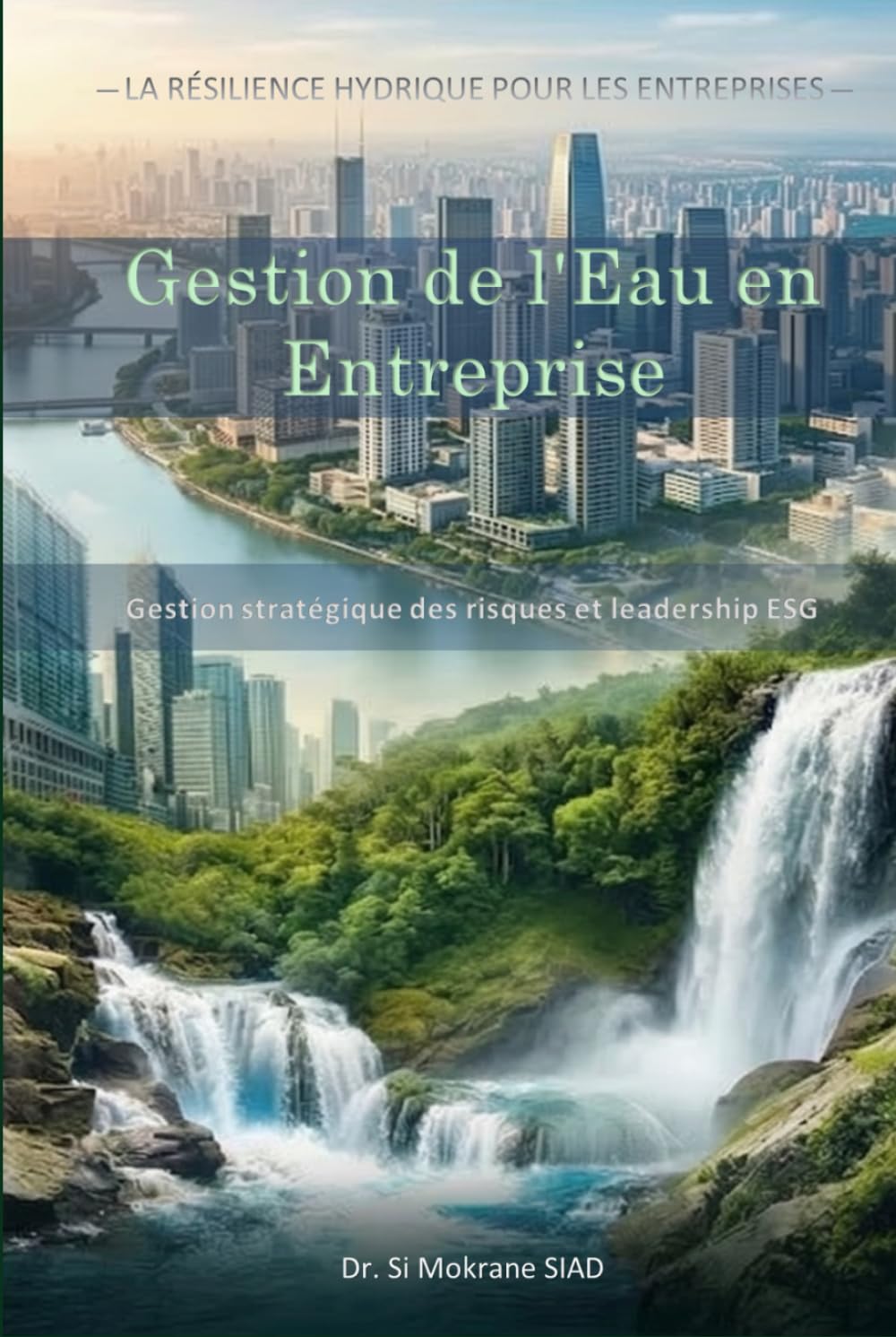 Gestion de l'Eau en Entreprise: Gestion stratégique des risques et leadership ESG (Résilience hydrique pour l'entreprise)