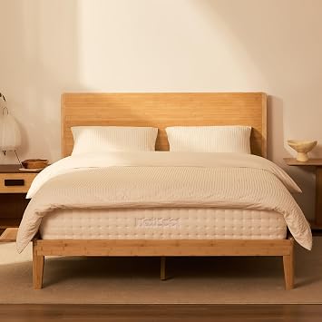 FLEXISPOT Hako G4 Queen Bamboo Platform Bed Frame with Charging Storage Headboard, Japanese Joinery Bed Frame, Built-in Night Light, Minimalist Style, Quick Assembly, 1300 lbs Capacity, Natural