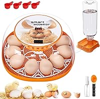 Vista 1 de Incubadora de 12 huevos con giro automático de huevos y control de temperatura, adición automática de agua, vela LED de huevos, incubadoras