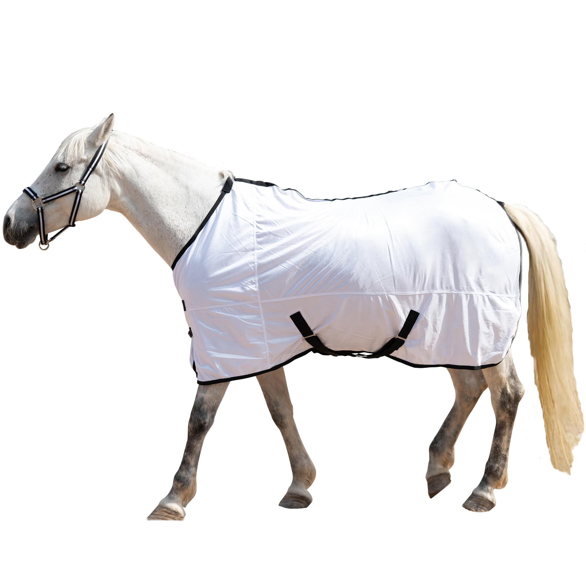 Gallopoff Fliegendecke für Pferde, atmungsaktive Sommerdecke mit UV-Schutz und Kratzschutz, mit verstellbarem Brustverschluss, Kreuzgurt und Beinschnüren Weiß 135 cm