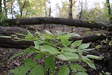 Review Image by sandra morris sandra morris