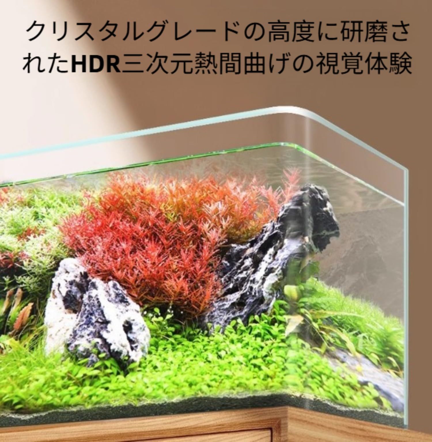 Amazon | 金魚鉢 メダカ用 ガラス容器 10L大型 室内アイテム