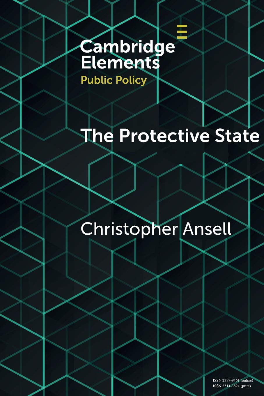 The Protective State (Elements in Public Policy)