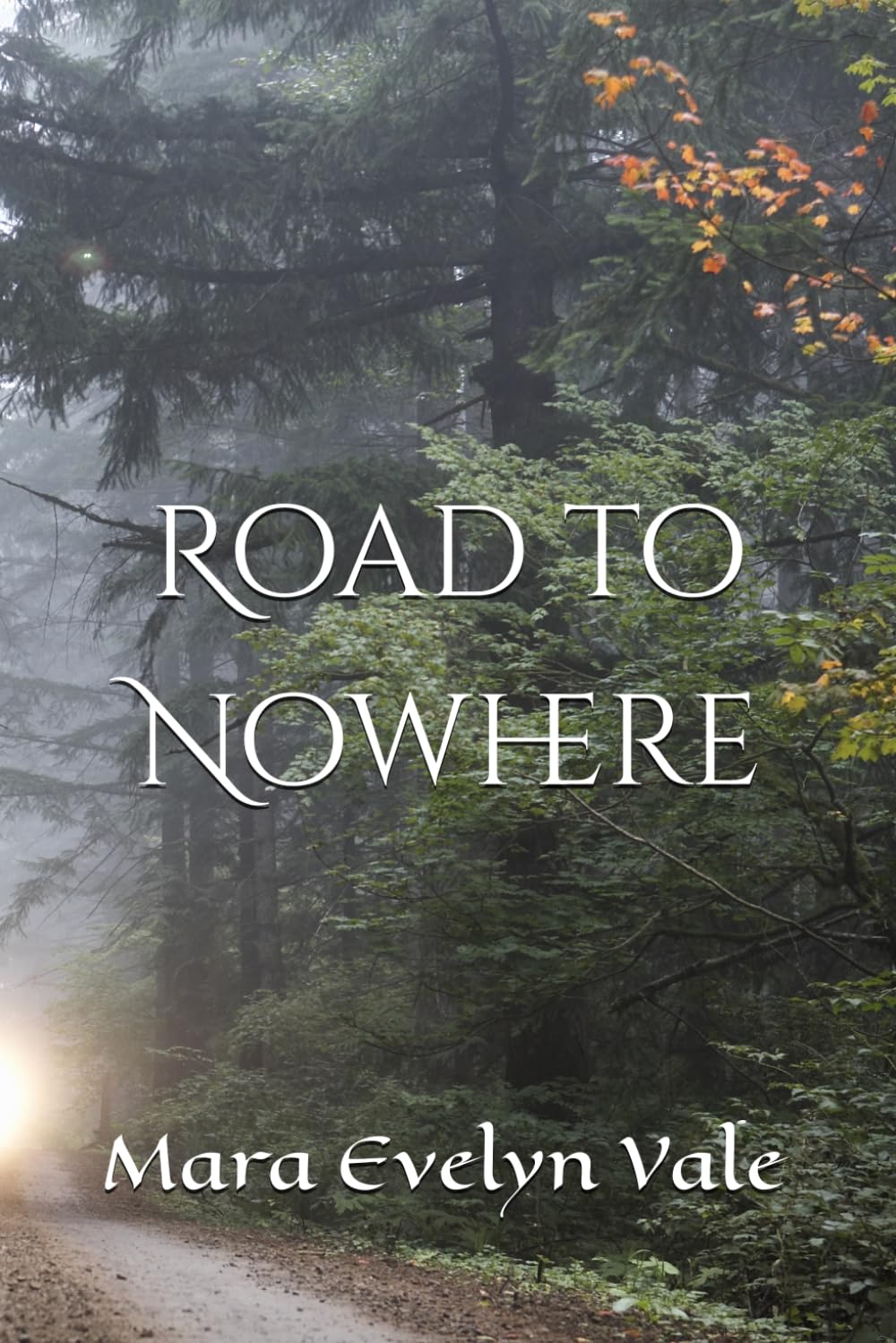 Road to Nowhere