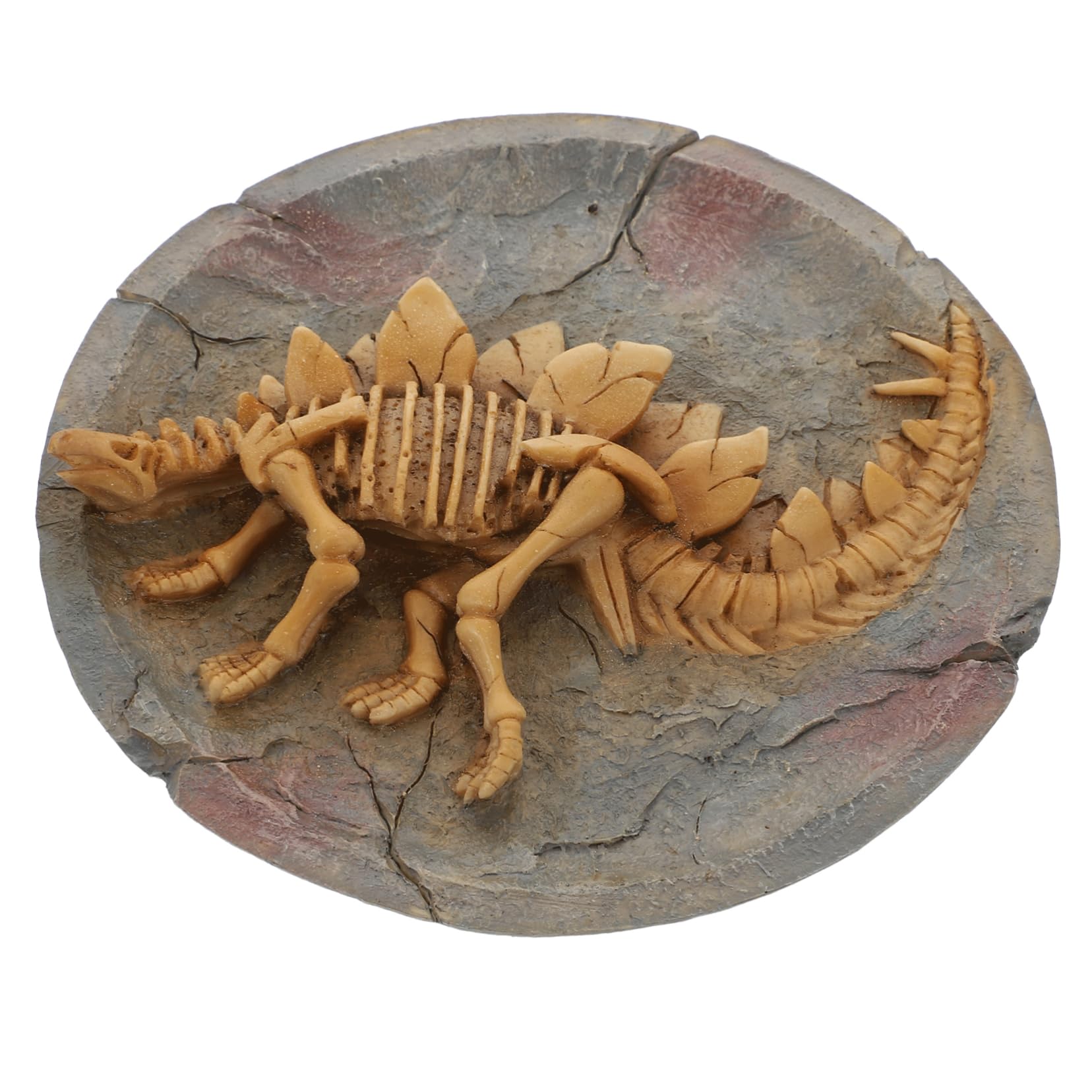 CIYODO Riproduzione Realistica e Artistica di Dinosauro Stegosauro in Resina Arancione Decorazione da Parete per Spazi Interni e Soggiorno