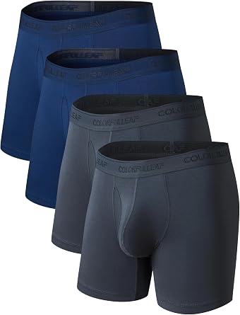 COLORFULLEAF Mens Boxer Briefs Underwea Soft Rayon Made From Bamboo Boxer Briefs for Men with 3-D Pouch Open Fly