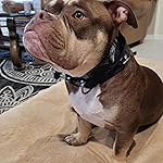 Review Image by Thea Chase Thea Chase