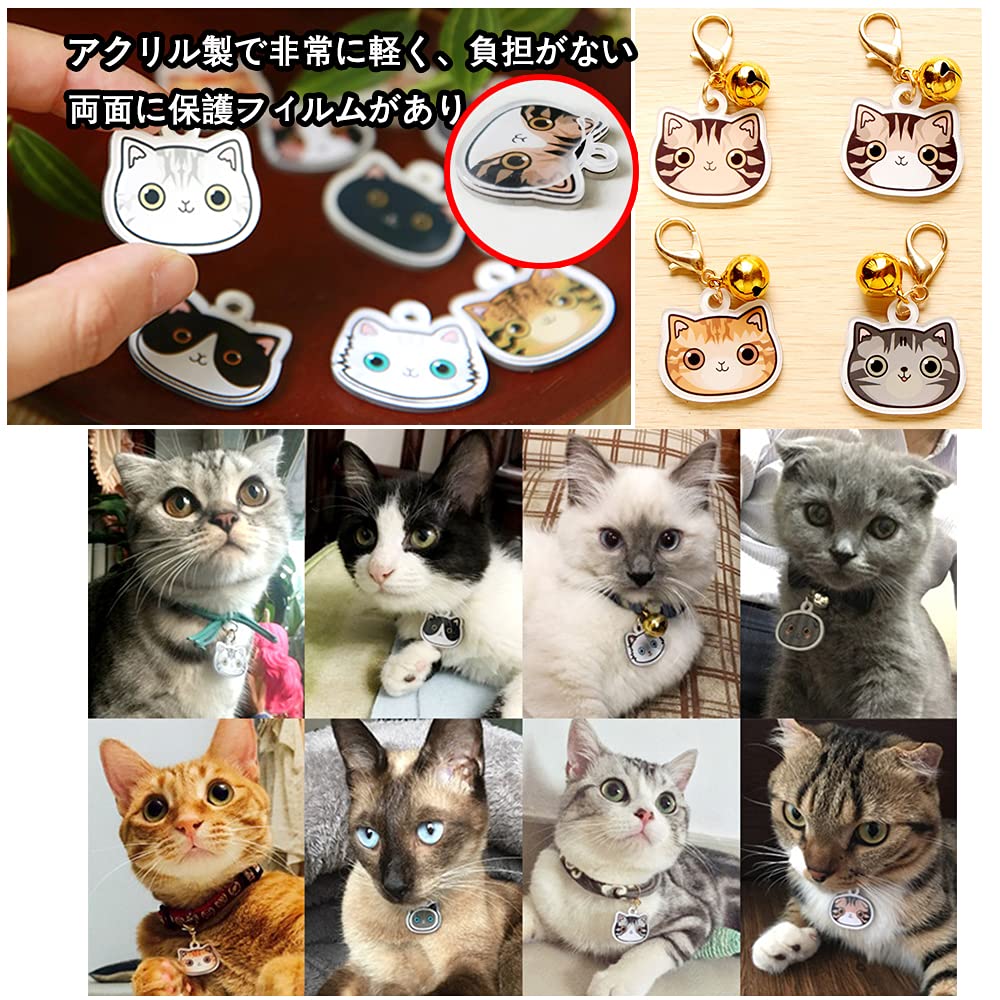 Amazon | Amakunft猫用迷子札 ペットIDタグ 迷子札 猫ちゃんネコ用名札