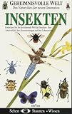  Geheimnisvolle Welt: Insekten [VHS]