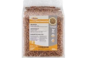 The Ideal Mealworms for Hamster