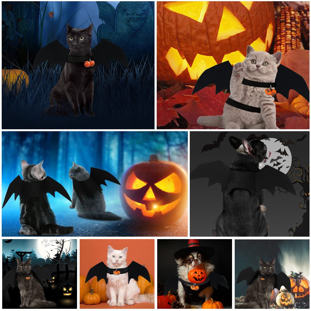 Fledermausflügel Hundekostüm Halloween - Lustiges Haustier Kostüm Mit Kürbisglocken