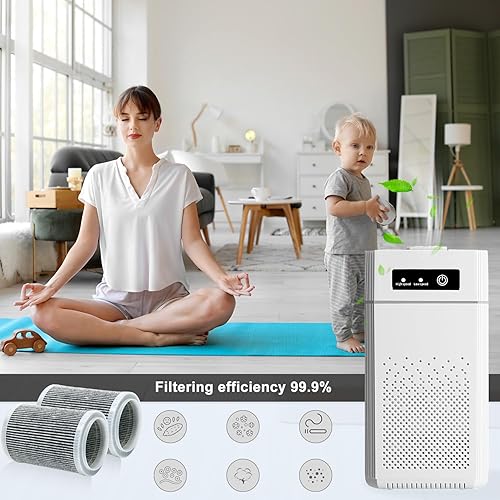 Miniatura 5 de Filtro de repuesto HEPA para purificador de aire compatible con filtro ZHIBO-C30 para filtros purificadores de aire ANB-VIHOSE-41021 (paquete de 2)