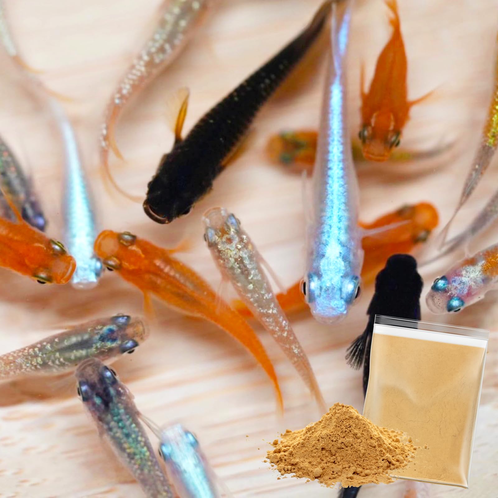 Amazon | メダカ 生体 ミックスメダカ 成魚 【極上万能粉エサ付き 