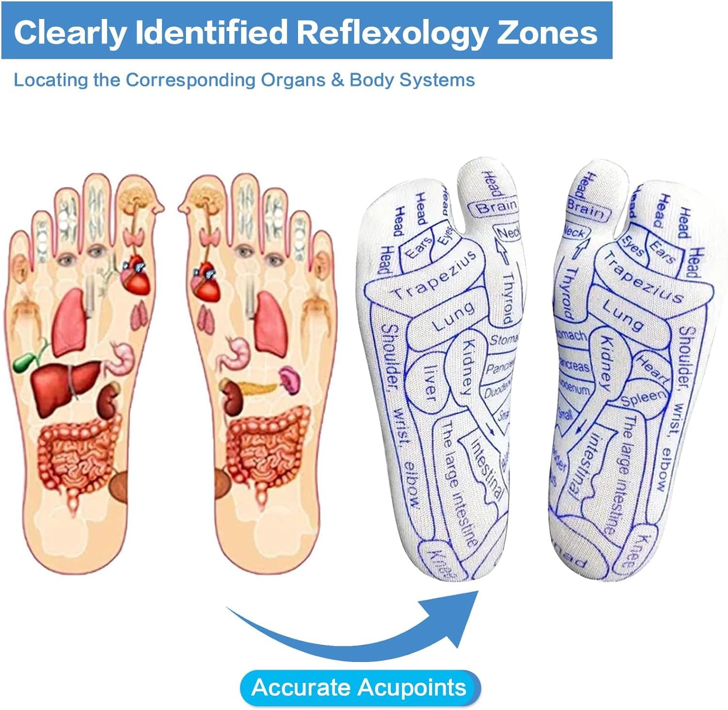 VANSHORA Reflexology Socks With Massage Tool | Acupressure Foot Massage Socks For Men And Women | Trigger Point Acupuncture Therapy For Relaxation And Stress Relief 3
