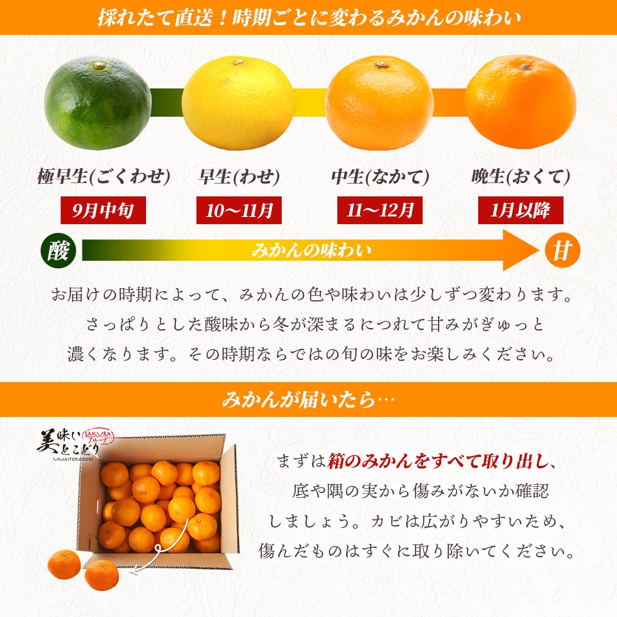 Amazon.co.jp: 美味いとこどり みかん 和歌山県産 甘い 赤秀 小粒