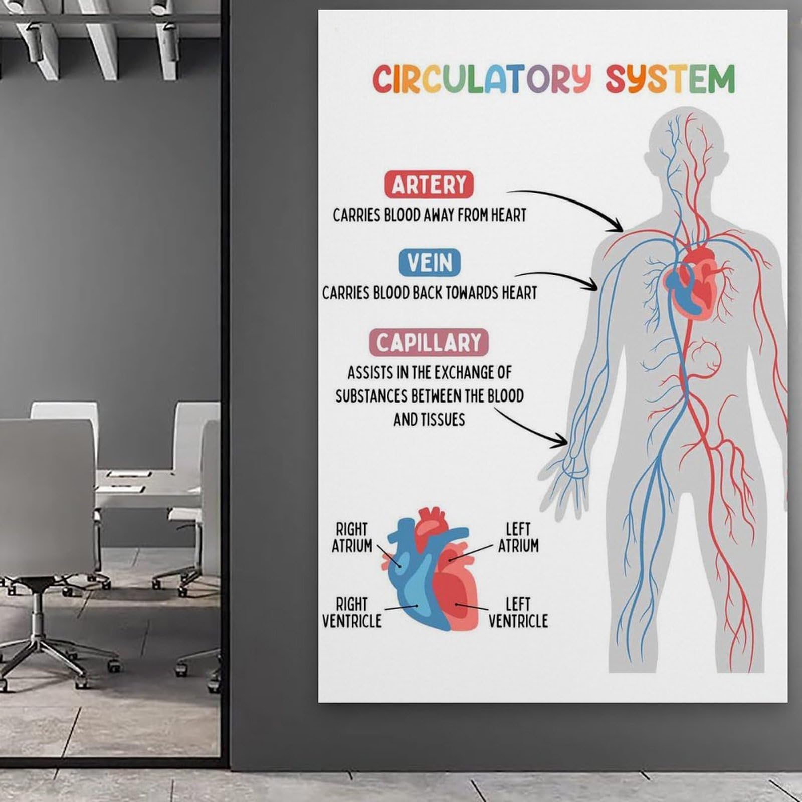 Circulatory System: nowoczesne wydruki na płótnie, dekoracyjne obrazy do pokoju chłopca lub dziewczynki, obrazy ścienne do salonu i obrazów z motywami świątecznymi, 30 x 30 cm