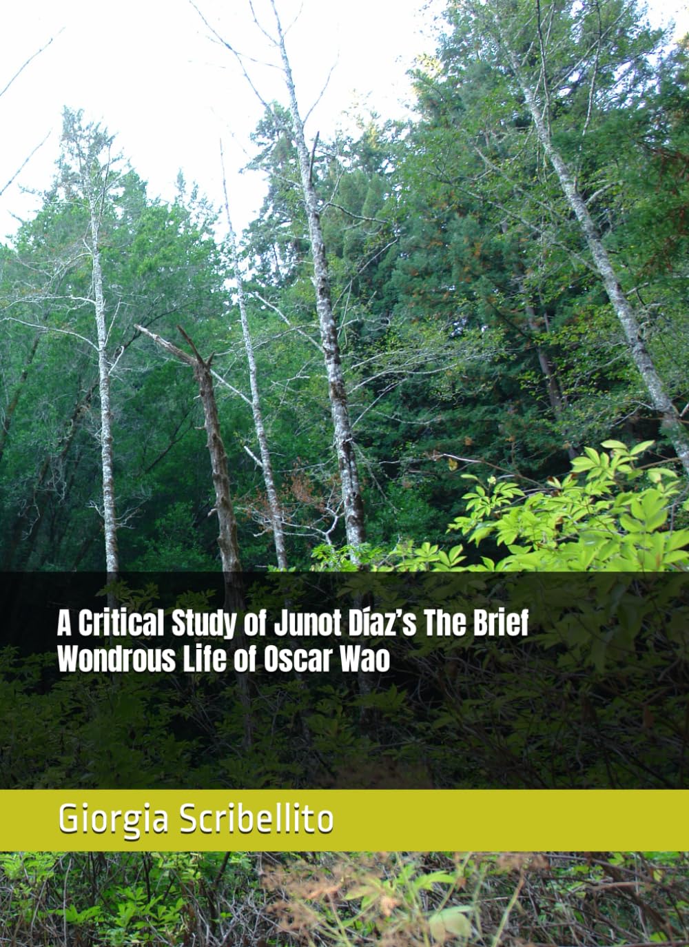 A Critical Study of Junot Díaz’s The Brief Wondrous Life of Oscar Wao