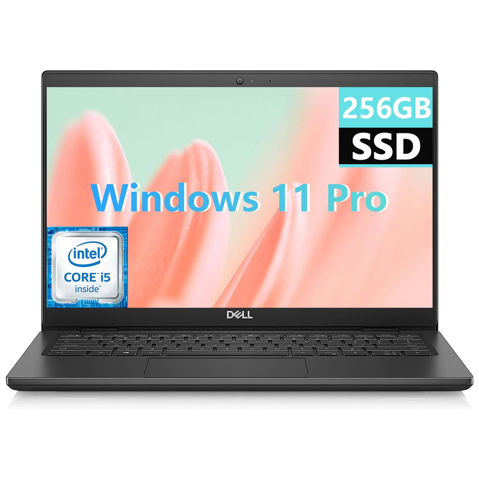 Amazon.com: Dell Latitude 3420 Business Laptop, 14