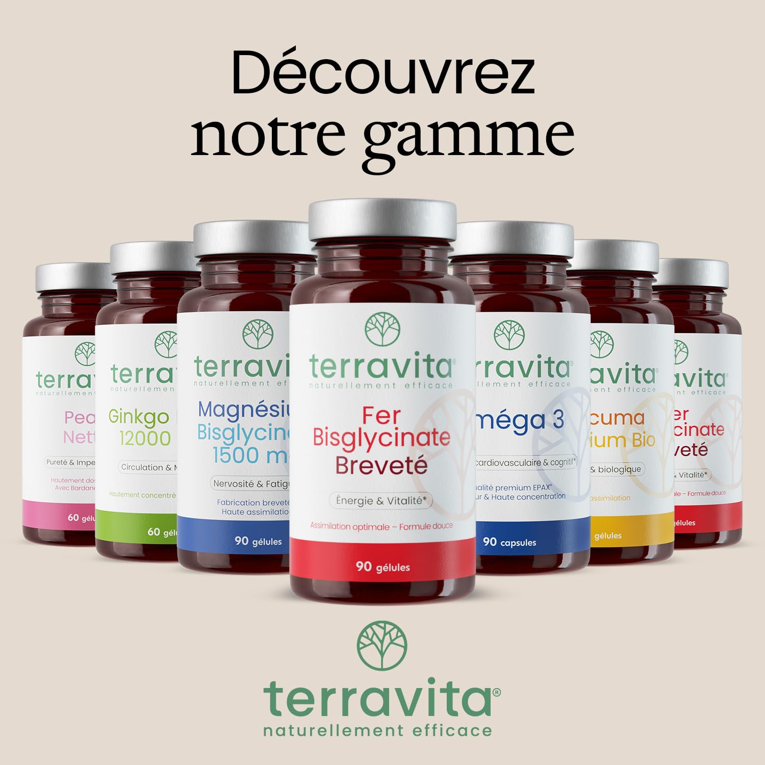 FER Bisglycinate Pur 14 mg | Complément Alimentaire Anti-Fatigue | Fer Breveté Ferrochel® Haute Absorption | Cure de 3 Mois sans Troubles Digestifs | 90 Gélules Végétales | Made in France | Terravita