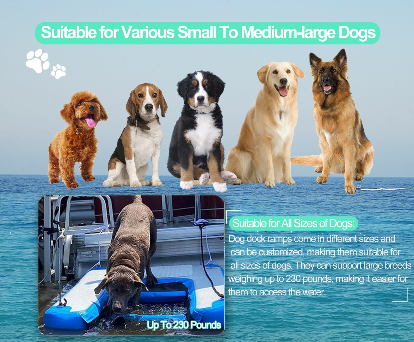 rampa de Agua para Perros Rampa de Agua Inflable para Perros, rampa de pontón para Perros, Escalera de fácil Acceso, rampa de Agua para Muelle Flotante para Bote, Lago, Muelle y Playa.(Yellow)