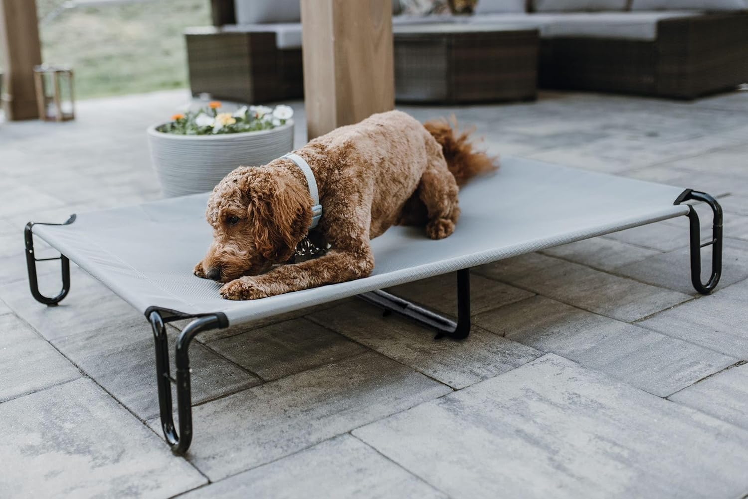 review Elevated Dog Bed, 48 x 33 x 8 inches (Large, Grey)