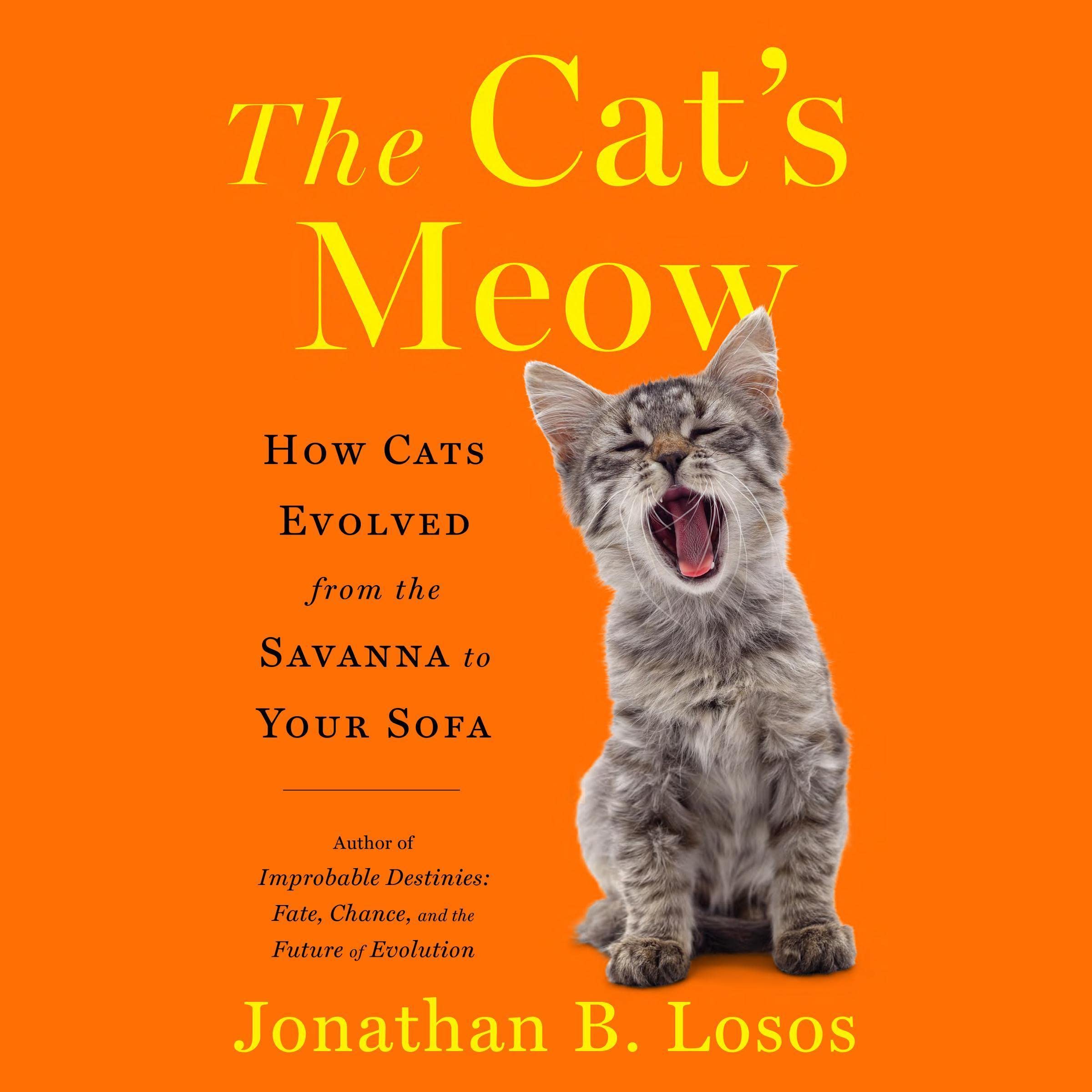 Cover art for The Cat's Meow