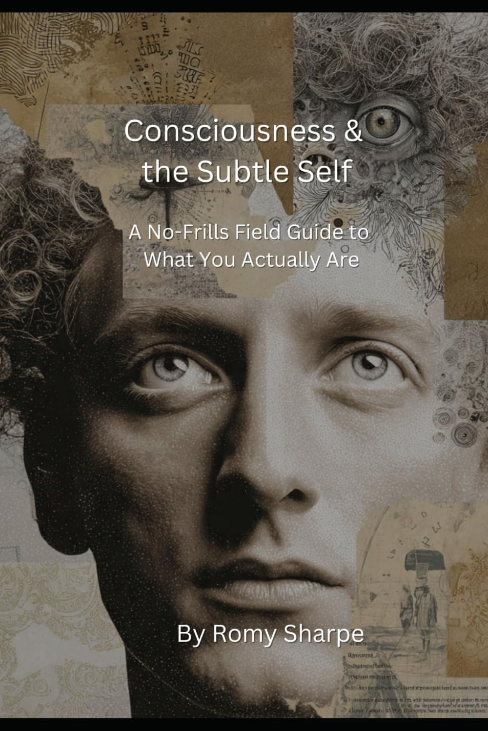 Consciousness & the Subtle Self: A No-Frills Field Guide to What You Actually Are (The Unfiltered Esoteric Series)