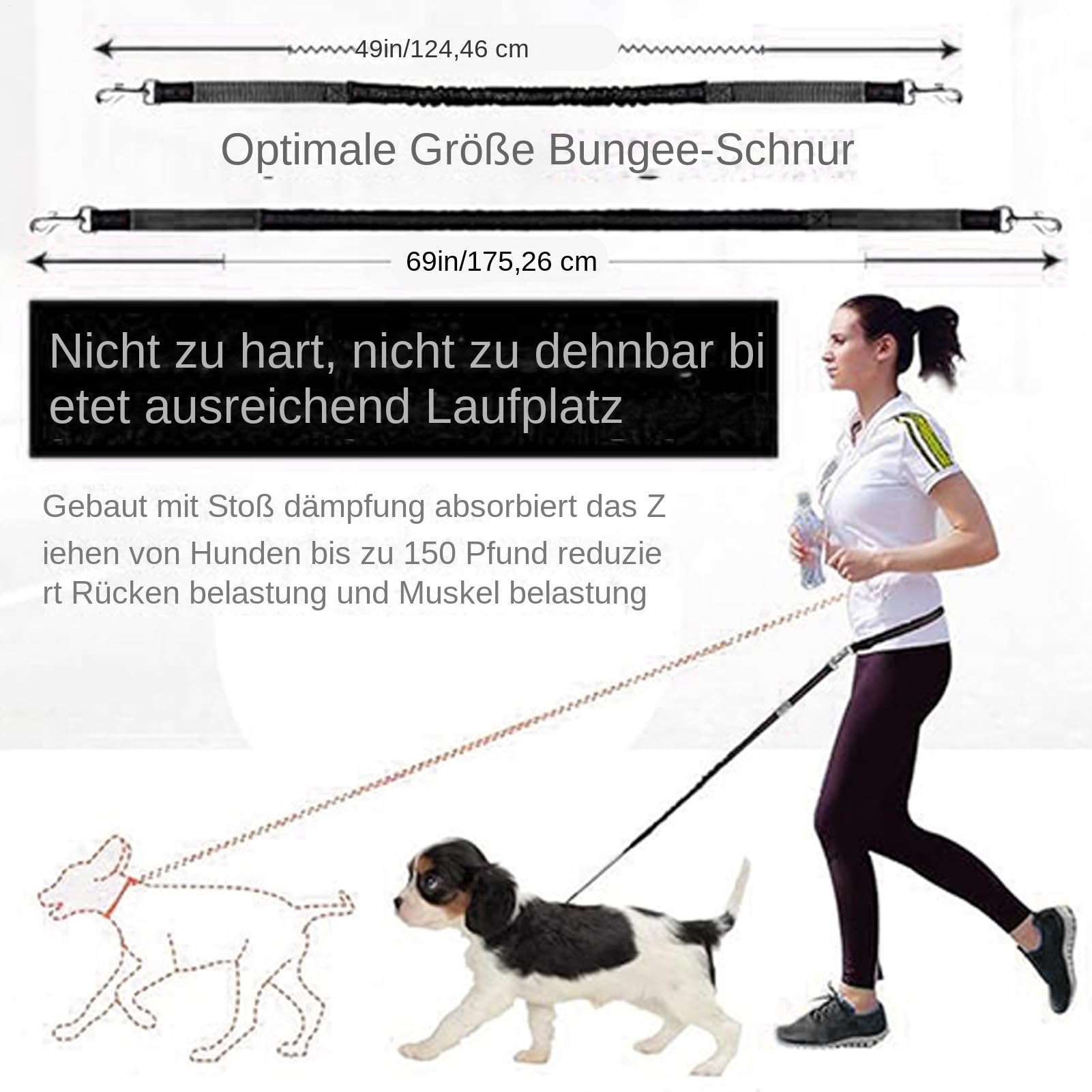 Longe Pour Chien Sangle Corde Chien Réfléchissante et Ajustable