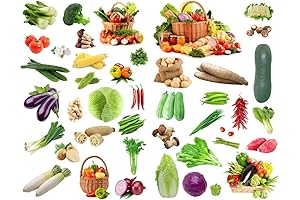 Attractive Love Coffee Time Anti-UV Recipe Stickers