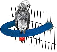 RYPET Quartz Sand Parrot Perch U-Shape Large: Rough Surface for Nail & Beak Trimming, Medium-Large Birds like Macaws, Conures